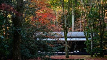アマン京都（AMAN KYOTO）滞在記！写真で楽しむ秋のアマン京都